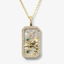 Load image into Gallery viewer, Zodiac Amulet Necklace
