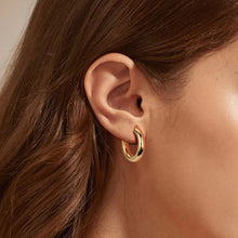 Load image into Gallery viewer, Chunky Hoops
