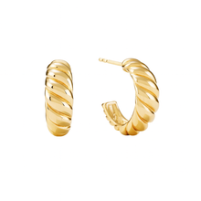 Load image into Gallery viewer, Samantha’s Earrings
